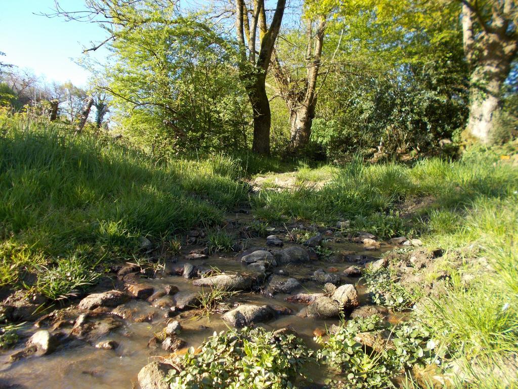 Terre Et Eau Gite Sevremont La Flocelliere Ngoại thất bức ảnh